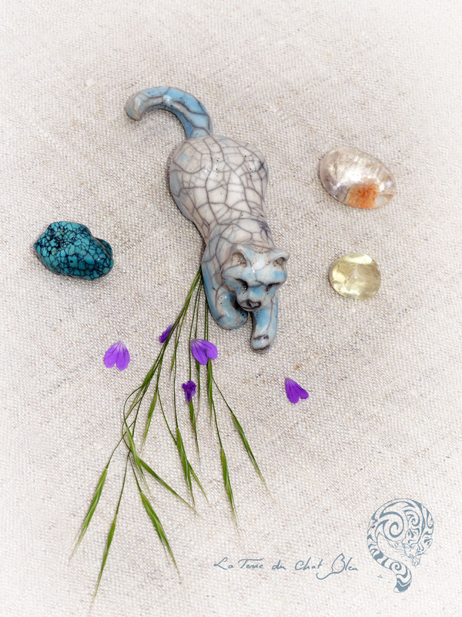 Miniature : Chat azuréen du Petit Peuple