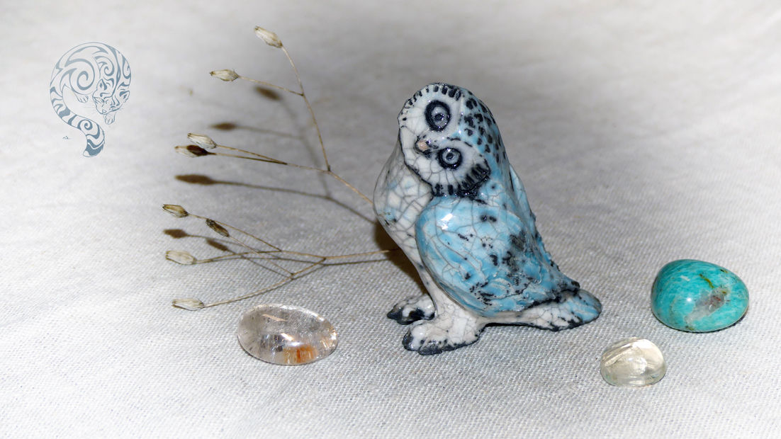 Chouette du petit Peuple très étonnée !