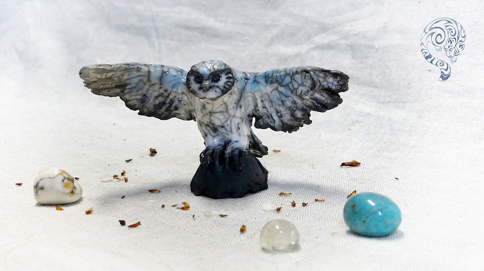 Miniature : Chouette du petit peuple qui ouvre ses ailes