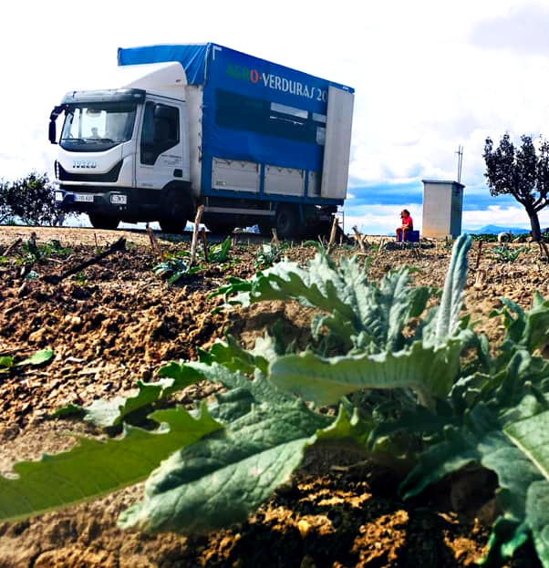 AGROVERDURAS - LARROSA HOLDING.jpg