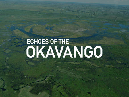 Expedition Announcement: Echoes of the Okavango launches to raise awareness of impact of Climate Change on Africa's largest Delta