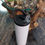 Miniature : Tumbler 20oz vissable avec anse rigide/20oz screw-on tumbler with rigid handle