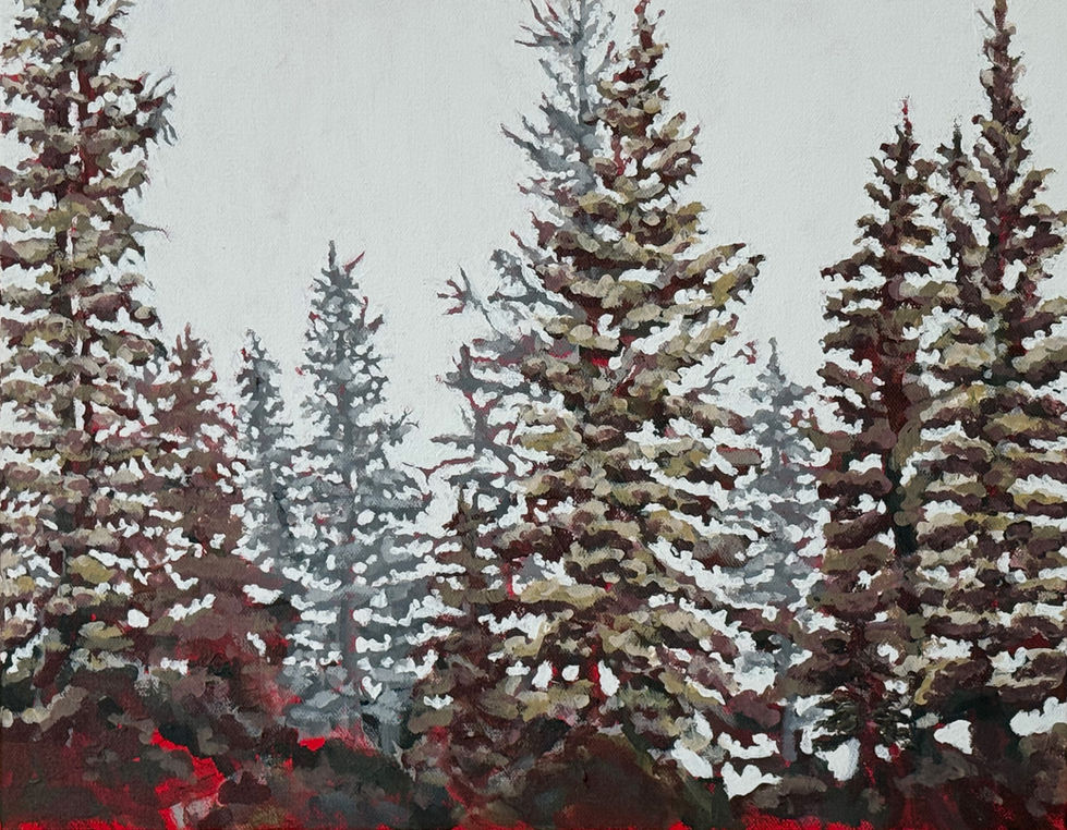 Echoes Beneath the Pines