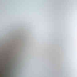 Dile que Sí en la presentación de Love in Bloom de Ángela Pedregal