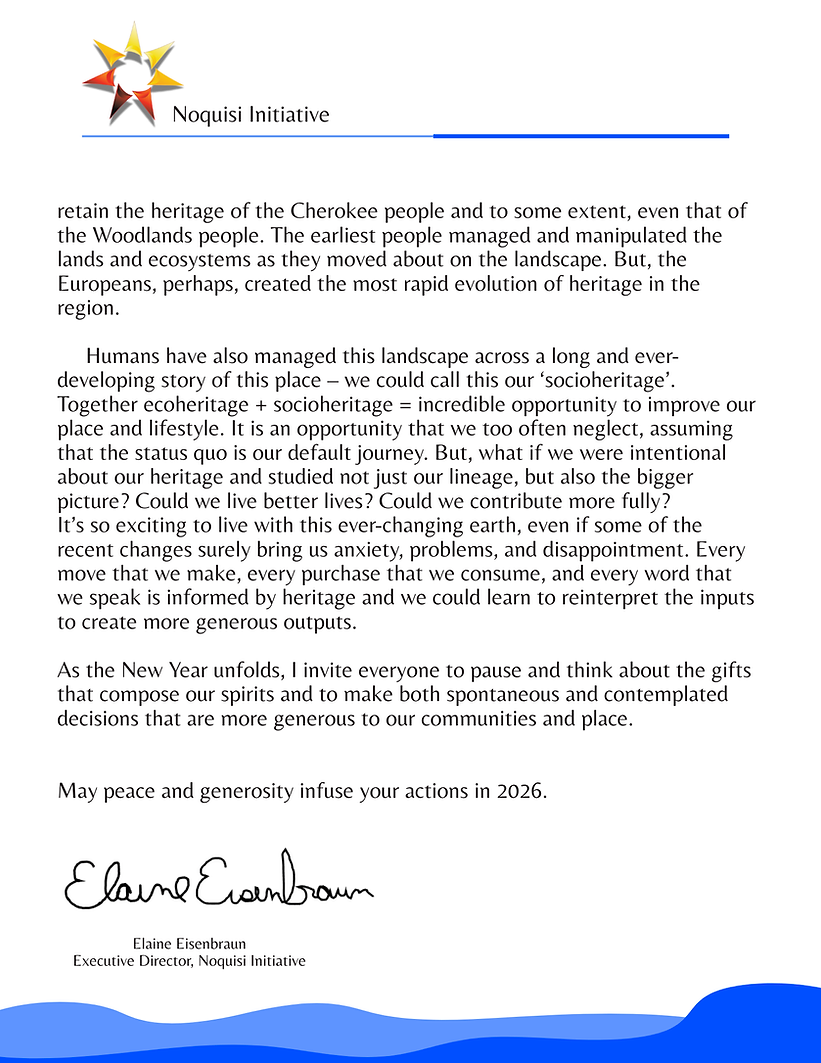 Noquisi Initiative ED Letter (1).png