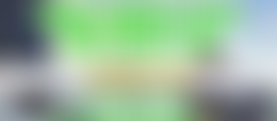 Smart Country visita Dora Horses Asd