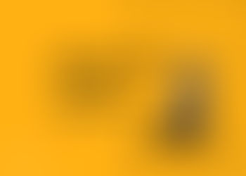 Bau Foto: il corso per imparare a fotografare il proprio cane
