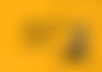 Bau Foto: il corso per imparare a fotografare il proprio cane