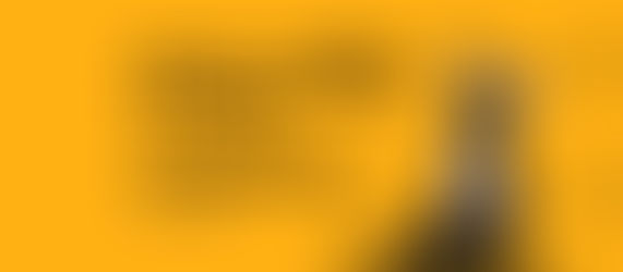 Bau Foto: il corso per imparare a fotografare il proprio cane