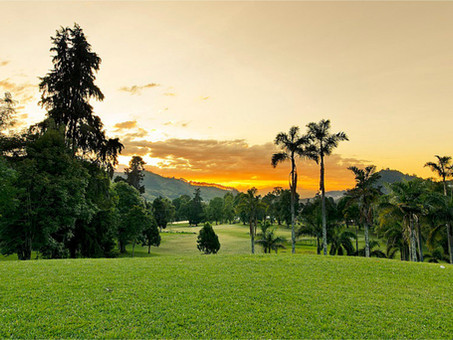 Colombia apuesta por sus bosques, territorios de vida y futuro