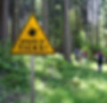 ticks_edited.jpg