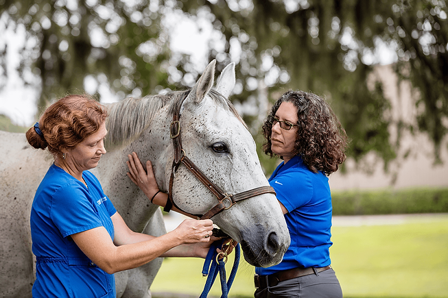 UF-VetMed-32_resized.png