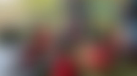 Continuamos con las activades de Atletas Jóvenes en el polideportivo de San Borja