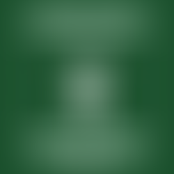 Enneagram Fours