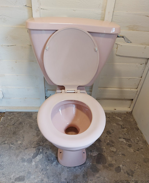 Pink Vintage Toilet