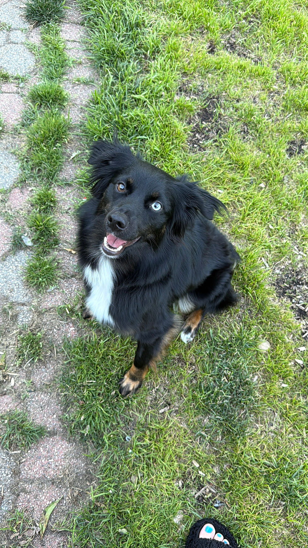 Shadow sitting and smiling