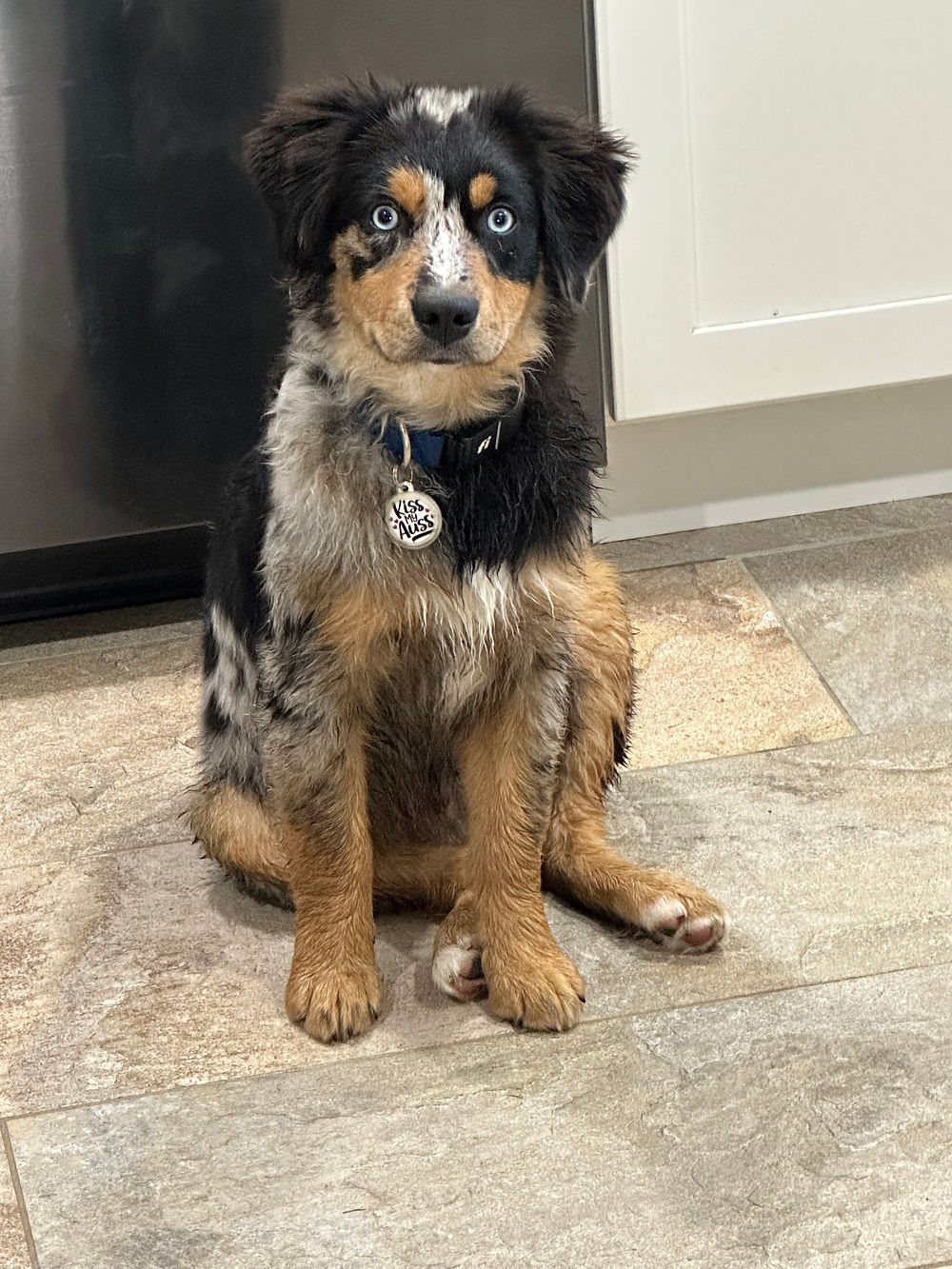 Teenage Ollie sitting in the kitchen