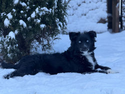 kiara in snow