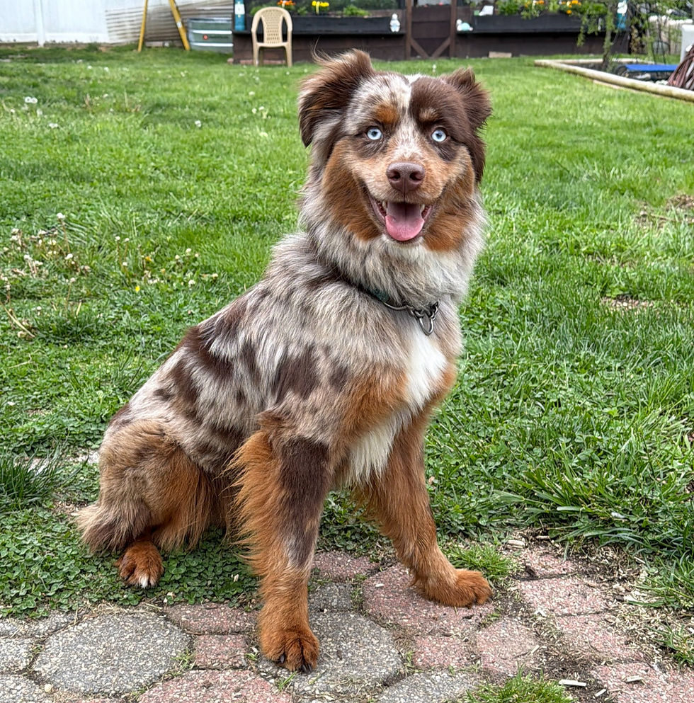 Nash smiling outside