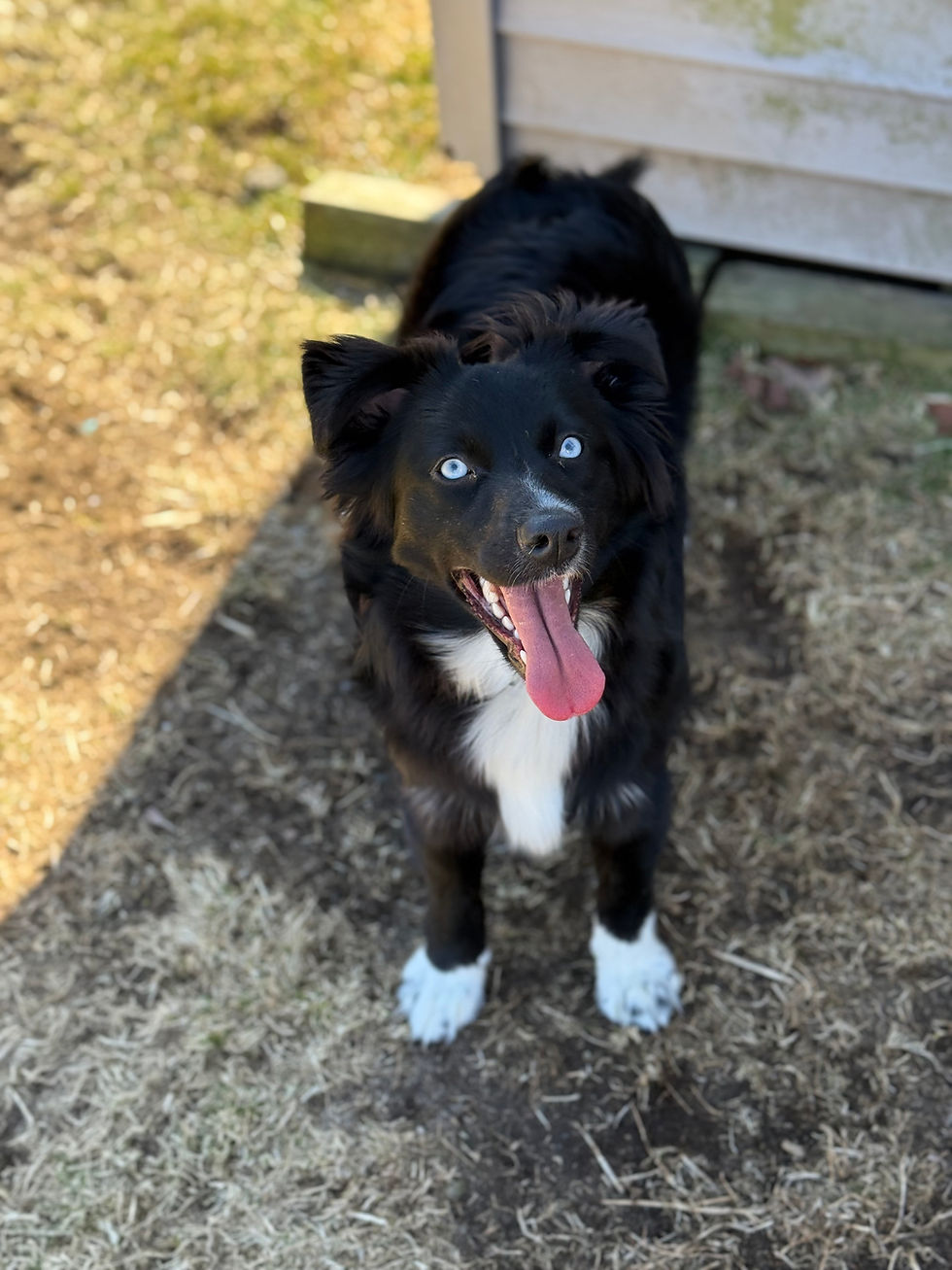 Kiara