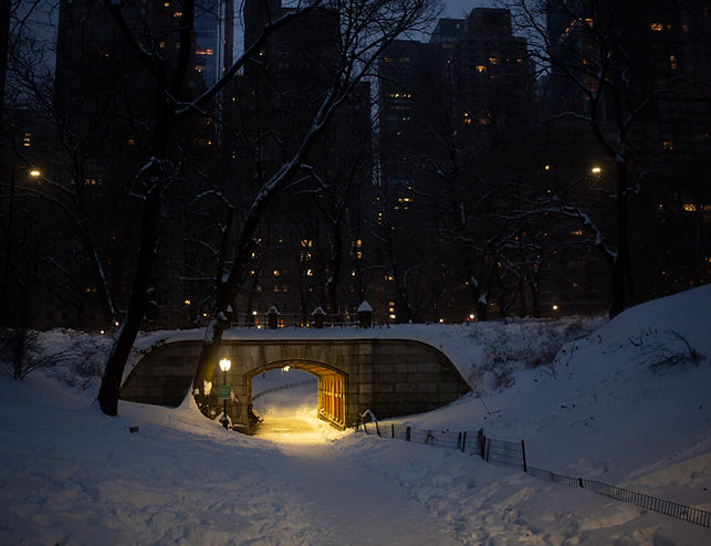 CentralParkSnow078.jpg
