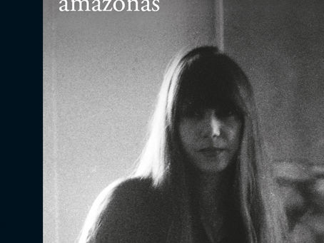 El tiempo de las Amazonas de Marvel Moreno. Opiniones.