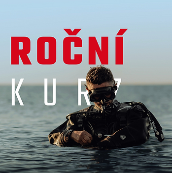 Your paragraph text (1).png