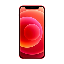 iPhone 13 Pro Max.png