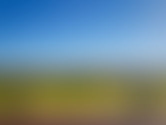 Guide to the Best Golf Courses in Austin