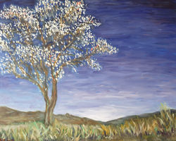 Landschap Boom, apr. 2022