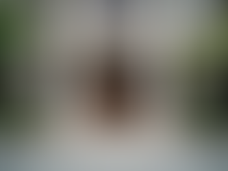 Understanding Montgomery Bail Services