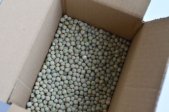 pp_100.jpg