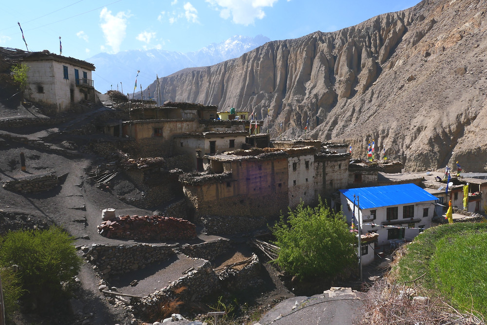 P1000364