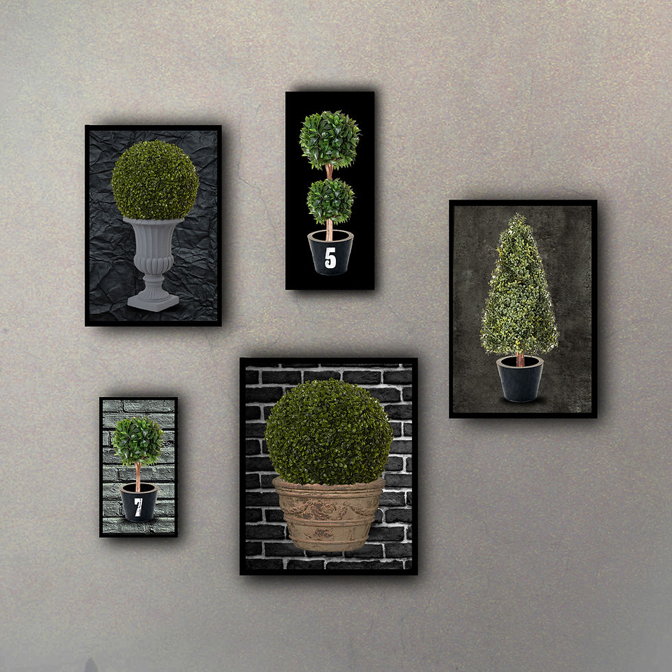 Miniatura: Combo Mix Colecciones "Topiarios" (5 Cuadros)