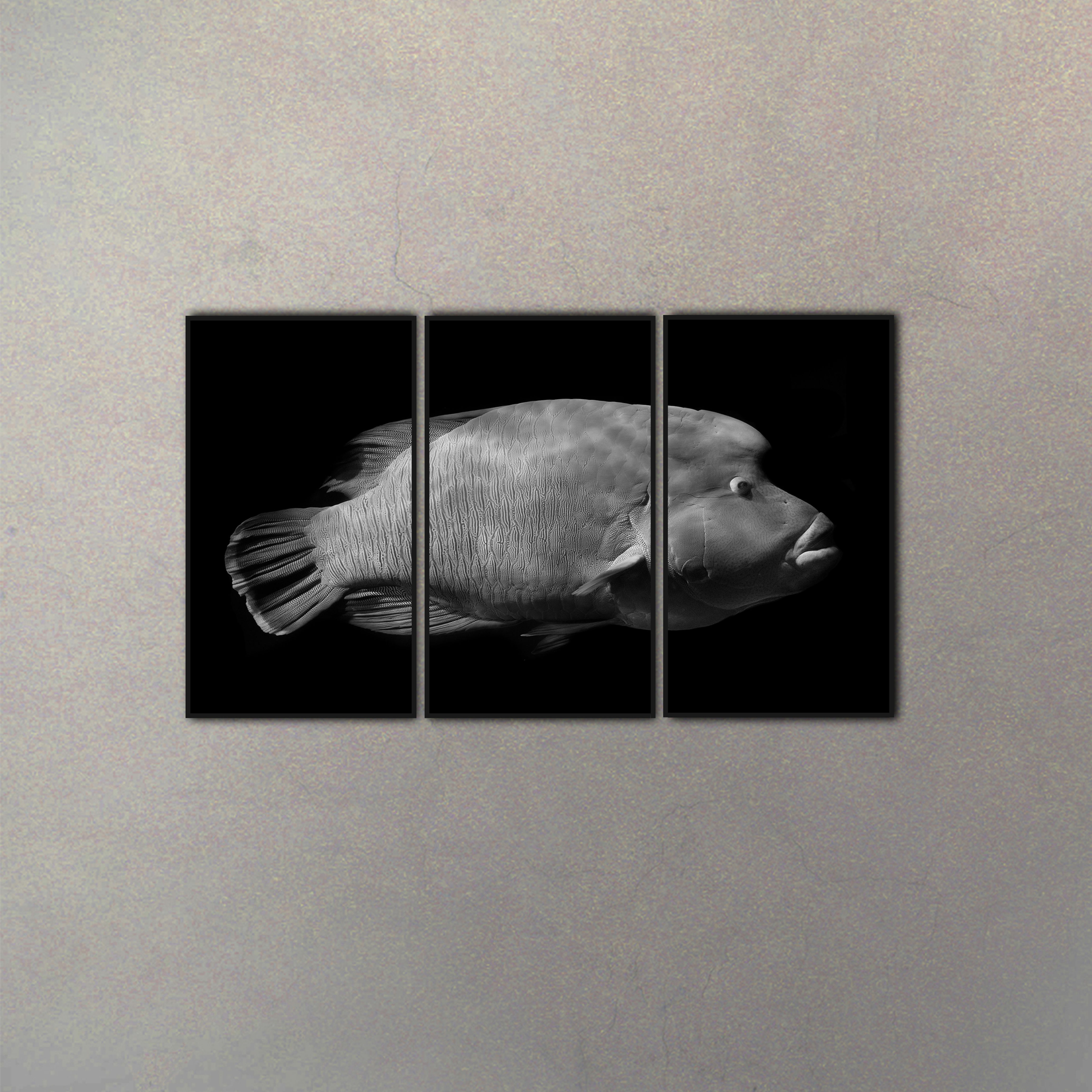 Tríptico Pez Gigante (3 Cuadros)