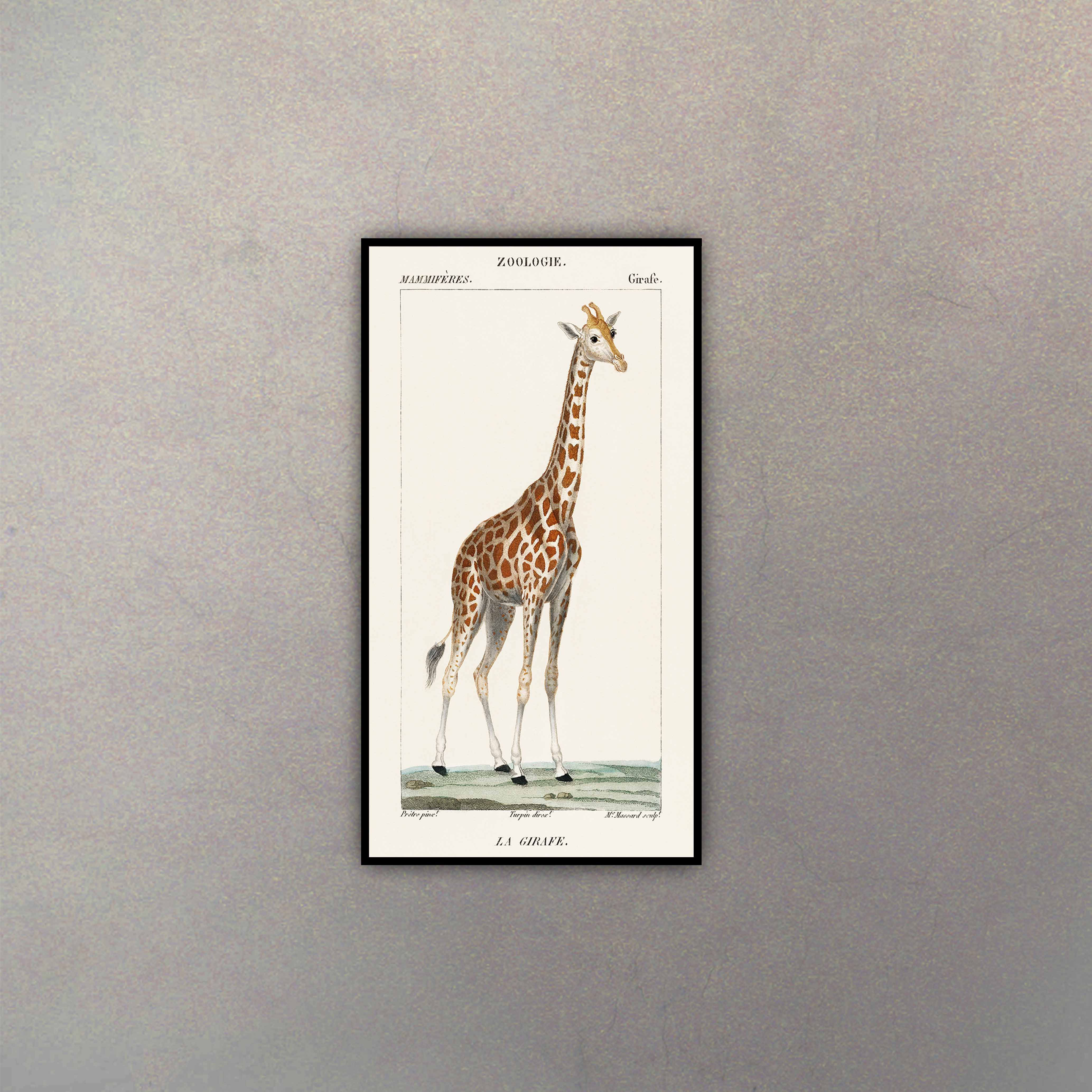 Jirafa Infantil Clásica I