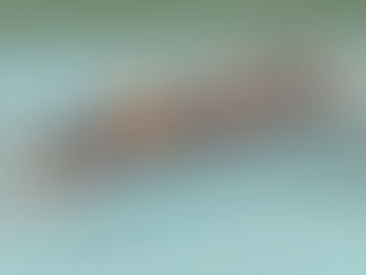 Coaching Techniques for Engineering Managers: Strategies for High and Low Performers