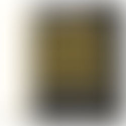 Ruy Barbosa, o vigilante da democracia republicana