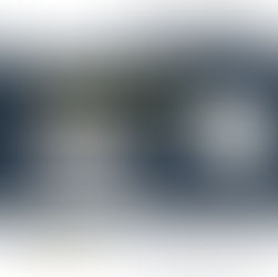 PRÁTICAS CORRUPTAS E SUA ACEITAÇÃO