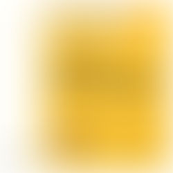 PL 1.904: confusões entre crimes e pecados