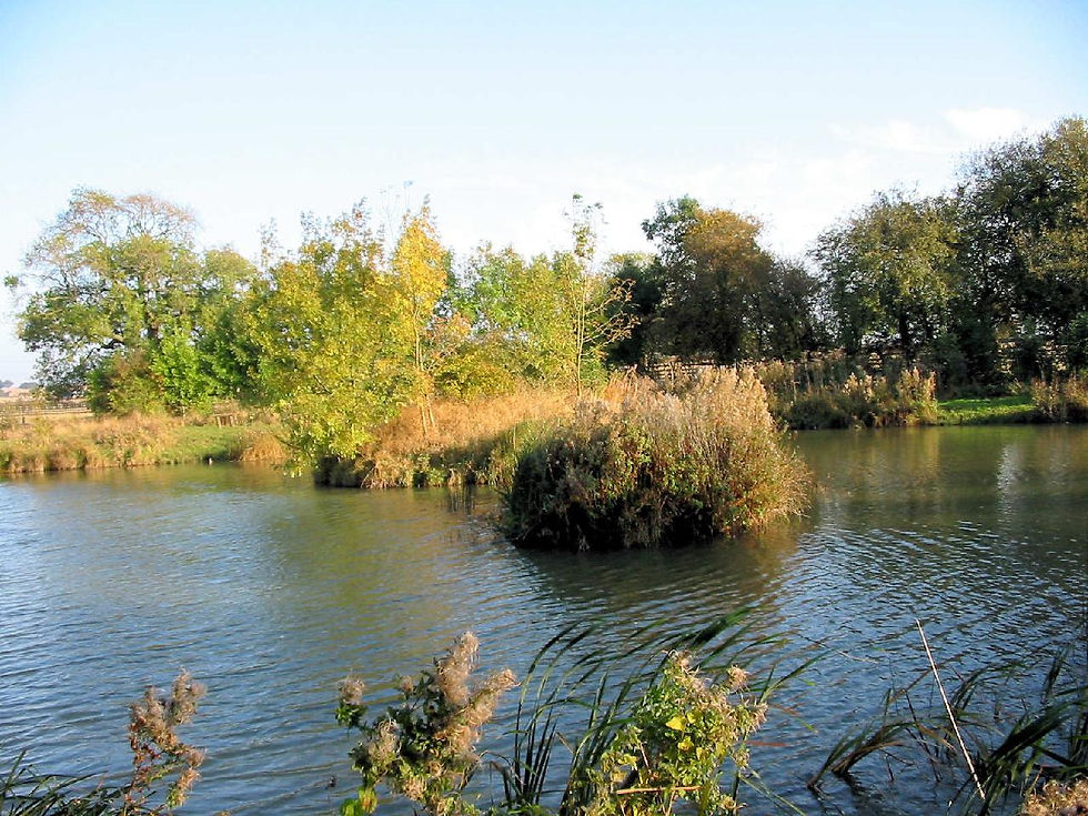 Nature reserve