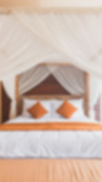 Image by mark chaves