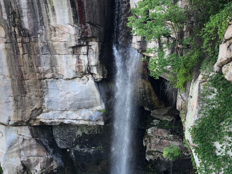 Here be dragons (Are you prepared?)