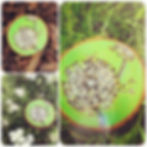 Size disc 10cm