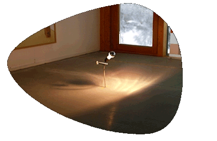 polarlicht_TEST.gif