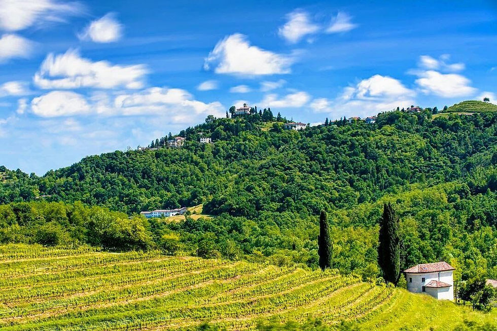 Giornata Esperienziale nella Natura - "LIBERA-MENTE"