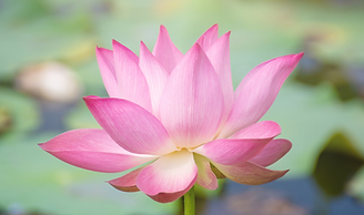 Corso Protocollo MBSR