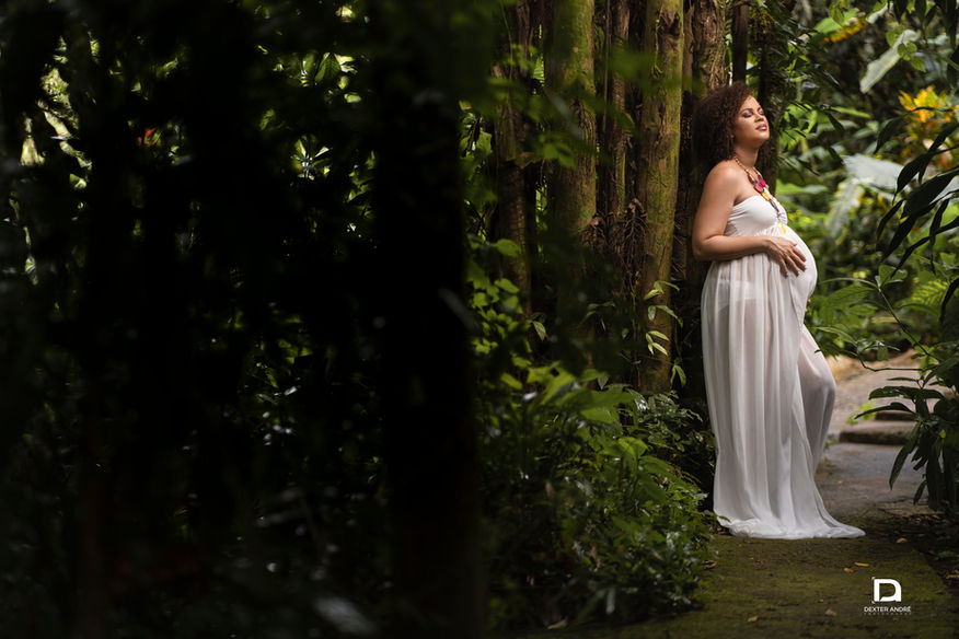 The Hemming's Maternity Photoshoot