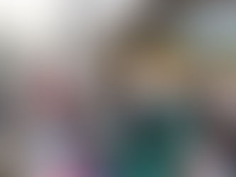 Apresentação na exposição do Museu de Ciências da Terra em 14/09/2016