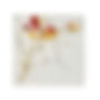 Wild and FreeWEB.jpg